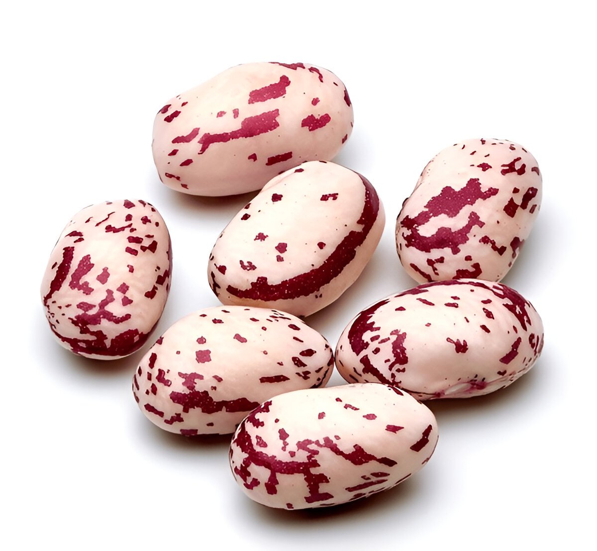 Borlotti (Berlotti) Beans